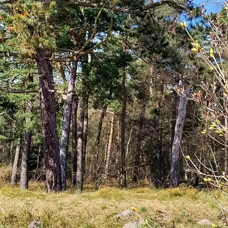 בית נופש 6 Person In Hojby-by Traum Højby