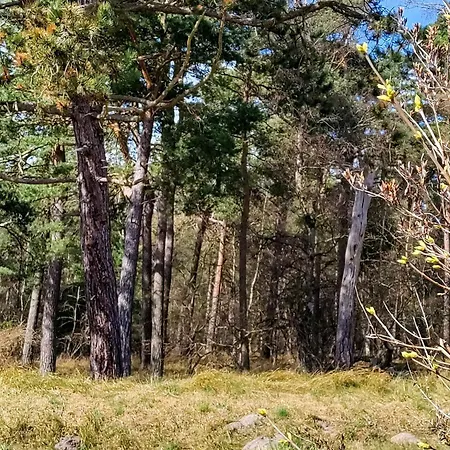 6 Person In Hojby-by Traum Hébergement de vacances Højby